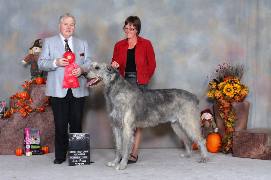 Handled by Trudy Taphorn