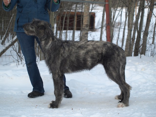 Heathview welcomes our new addition: Mamma Mia Von Den Erzminen