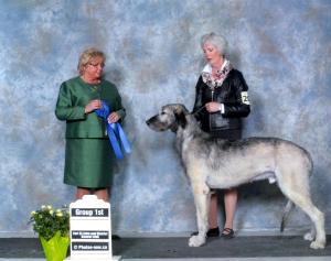 Group 1 - Carmen Holler